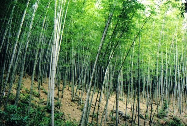 北橫之星 Taoyuan Buitenkant foto